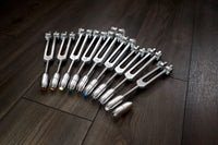 RV Medics' Professionally Tuned .25 9pc Chakra Silver Tuning Forks with 10pc Crystal Massage Attenuator Set - Biofield Tune