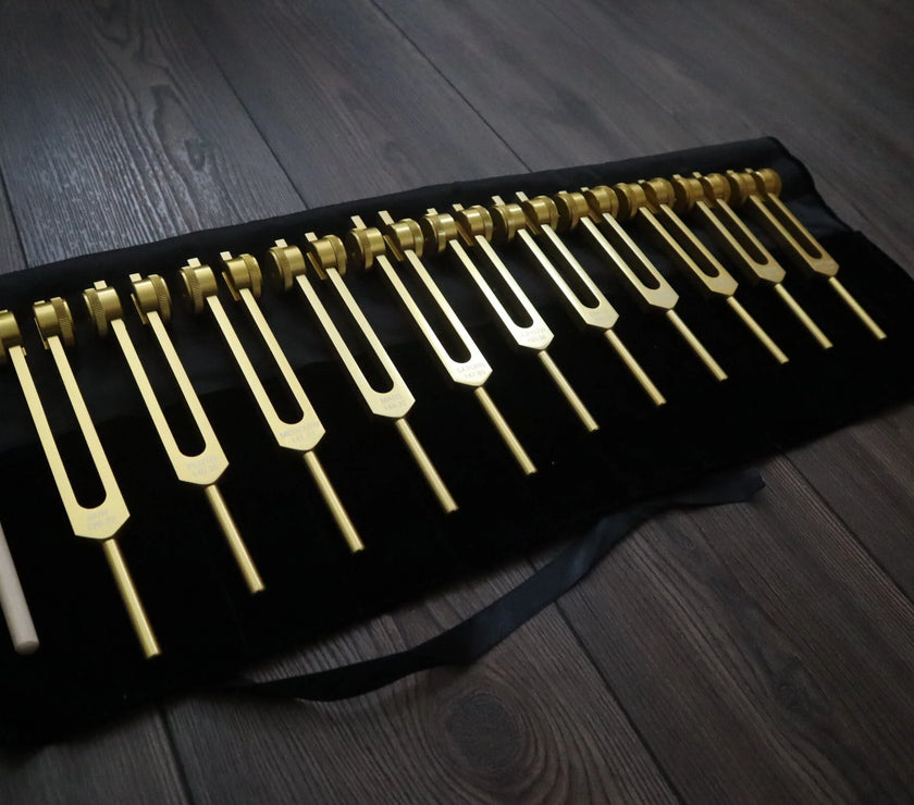 11pc Planetary Set - Professionally Tuned .25 - Astrology, Planetary Influences, Sound Vibration, Bio-field, Velvet Carry Bag