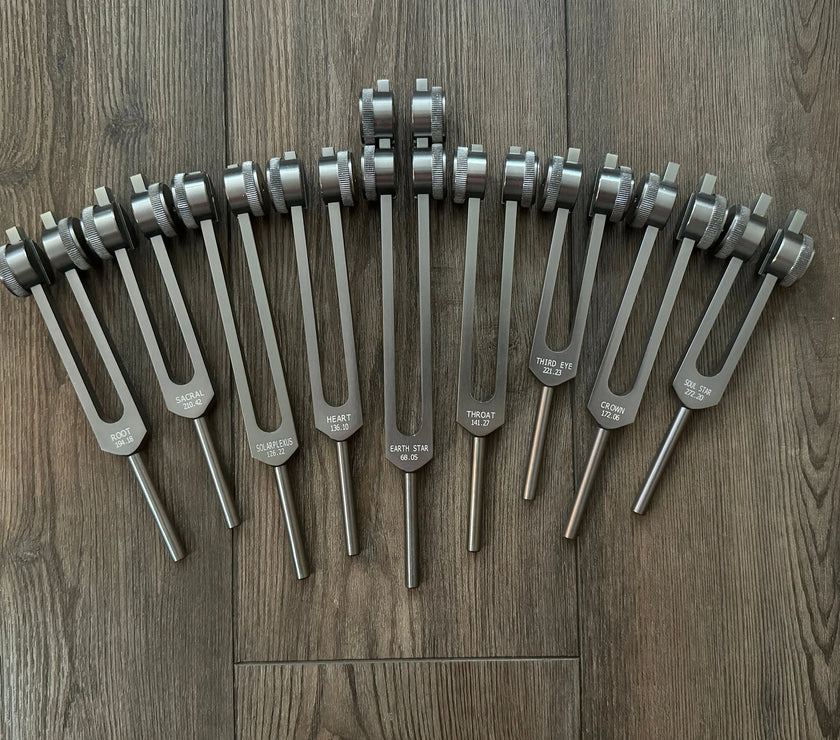 RV Medics' Professionally Tuned .25 9pc Chakra Tuning Forks - Gray - Earth Star Chakra through Soul Star - Biofield, Sound Vibration