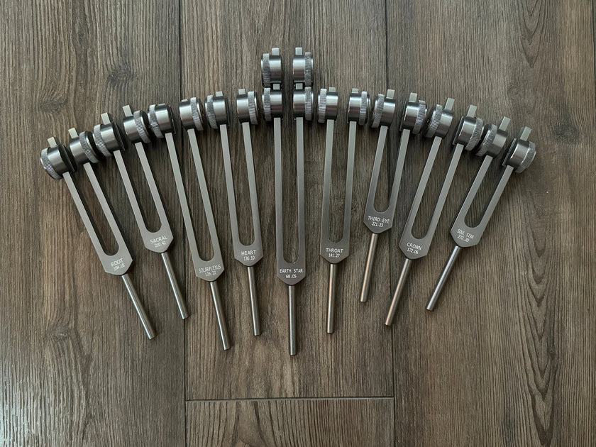 RV Medics' Professionally Tuned .25 9pc Chakra Tuning Forks - Gray - Earth Star Chakra through Soul Star - Biofield, Sound Vibration