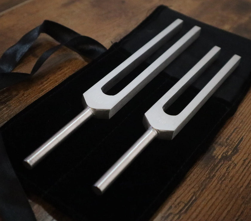 Golden Ratio (Phi) Tuning Fork Set - Professionally Tuned .25 Hz - D 288 Hz, A# 468 Hz, Unweighted, Bio-field, Sound Vibration, Bag