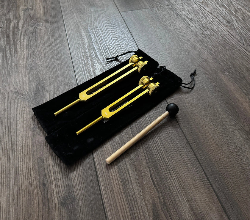 89Hz and 144Hz - Fibonacci, Golden Ration Tuning Fork Set - Gamma Binaural Beat Entrainment - Attenuator Handle Extender with 10mm Crystal