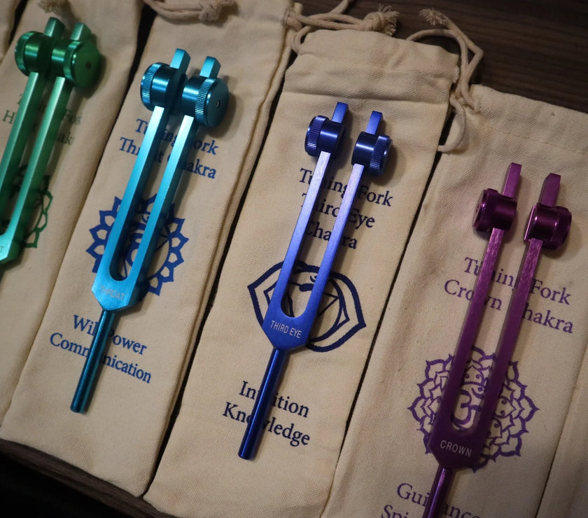 23pc Human Biology And Chakra Tuning Fork Bundle - Professionally Tuned .25 - Weighted, Bio-field, Sound Vibration