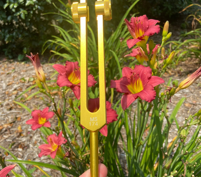 Solfeggio 174 Hz Tuning Fork - Carry Bag and Striker, Sound Vibration, Energy Vibration - Attenuator Handle Extender with 10mm Crystal