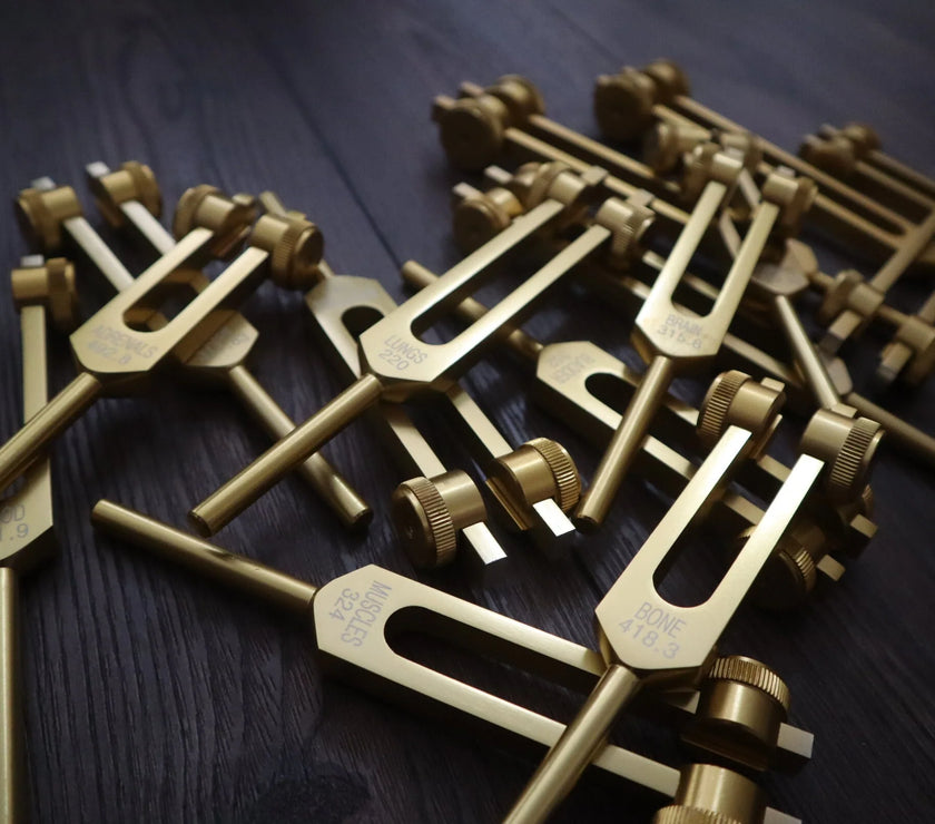 24pc Human Biology and Secret Solfeggio Tuning Fork - Professionally Tuned .25 - Gold, Silver Bio-field Sound Vibration