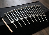 RV Medics' Professionally Tuned .25 Secret Solfeggio - Classic 9pc Set - Limited Edition Gray, Chakra Printed Engrams, Biofield,
