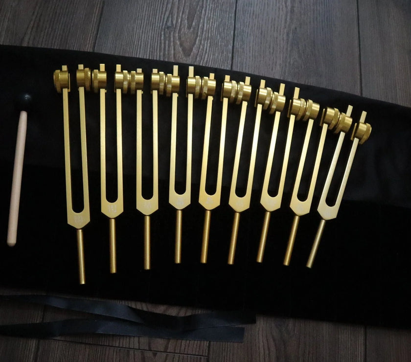 RV Medics' 9pc Solfeggio Weighted Tuning Fork Set - Professionally Tuned .25 - Gold, 528Hz, Bio-field, Bag, Striker