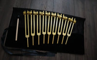 RV Medics' 9pc Solfeggio Weighted Tuning Fork Set - Professionally Tuned .25 - Gold, 528Hz, Bio-field, Bag, Striker