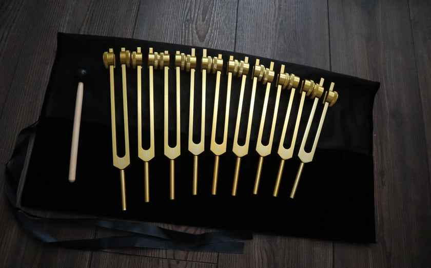 RV Medics' 9pc Solfeggio Weighted Tuning Fork Set - Professionally Tuned .25 - Gold, 528Hz, Bio-field, Bag, Striker