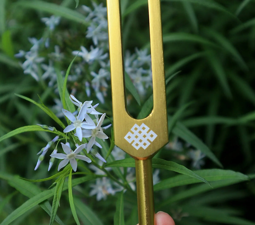 RV Medics' Earth Star 68.05 Hz Tuning Fork - Sound Vibration, Grounding, Biofield - Attenuator Handle Extender with 10mm Crystal