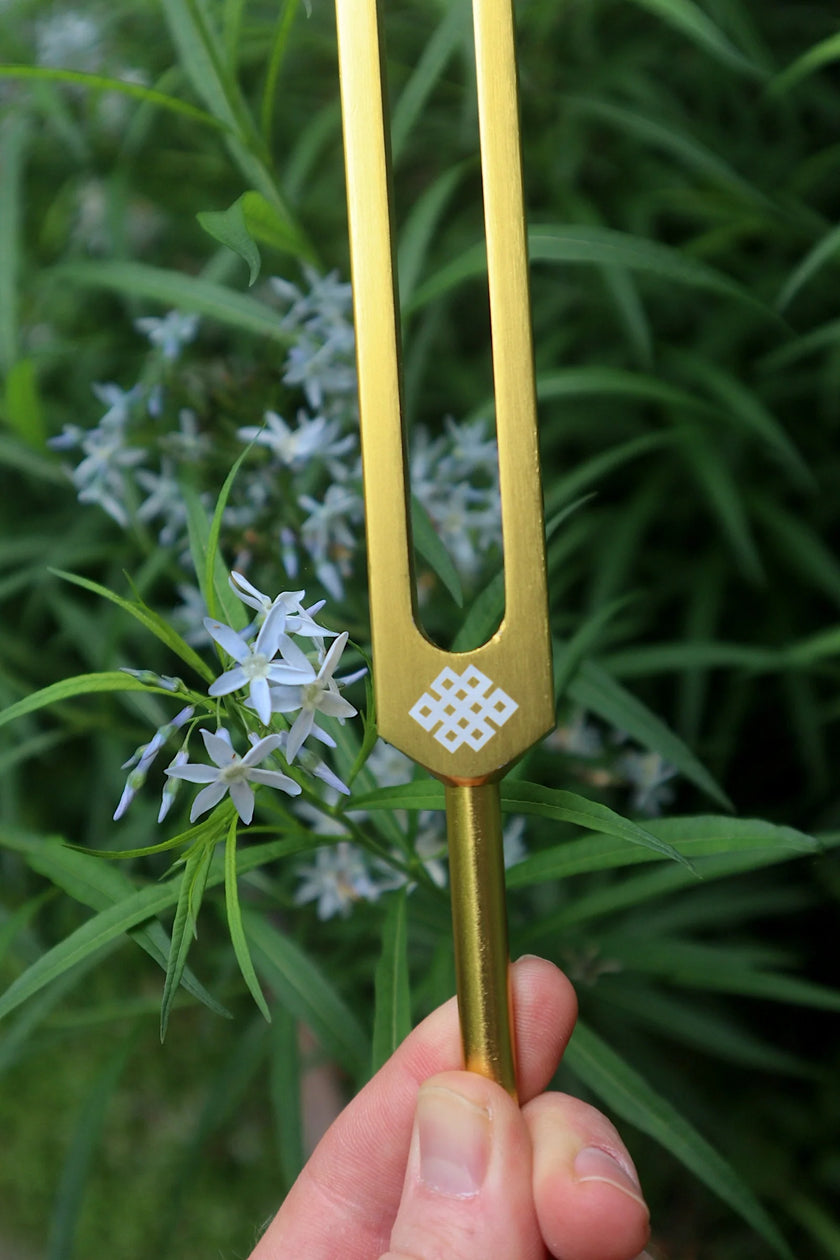 RV Medics' Earth Star 68.05 Hz Tuning Fork - Sound Vibration, Grounding, Biofield - Attenuator Handle Extender with 10mm Crystal