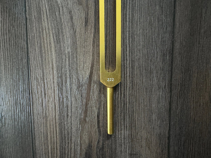 222 Hz Tuning Fork - Carry Bag and Striker, Sound Vibration, Energy Vibration - Attenuator Handle Extender with 10mm Crystal - Biofield