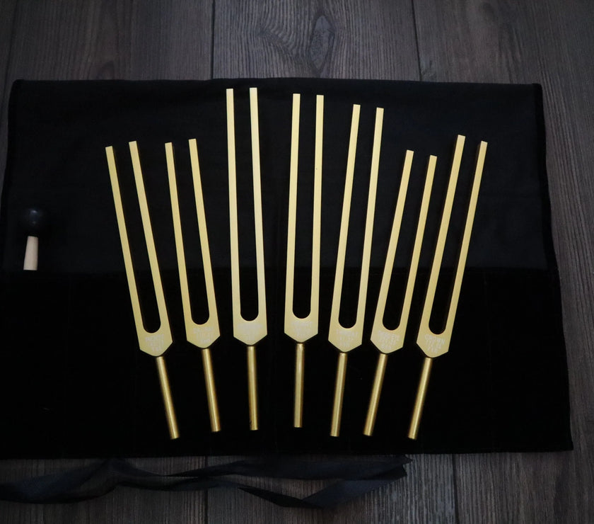 7pc Chakra Tuning Fork Set - Professionally Tuned .25 Hz - Unweighted, Root, Sacral, Solar Plexus, Heart, Throat, Third Eye, Crown Chakras