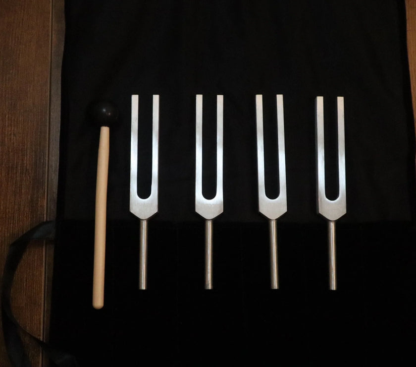 DNA Tuning Fork Set - Professionally Tuned .25 Hz, Bio-field, Sound Vibration, Unweighted 4pc Set, Velvet Carry Bag