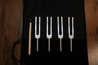 DNA Tuning Fork Set - Professionally Tuned .25 Hz, Bio-field, Sound Vibration, Unweighted 4pc Set, Velvet Carry Bag