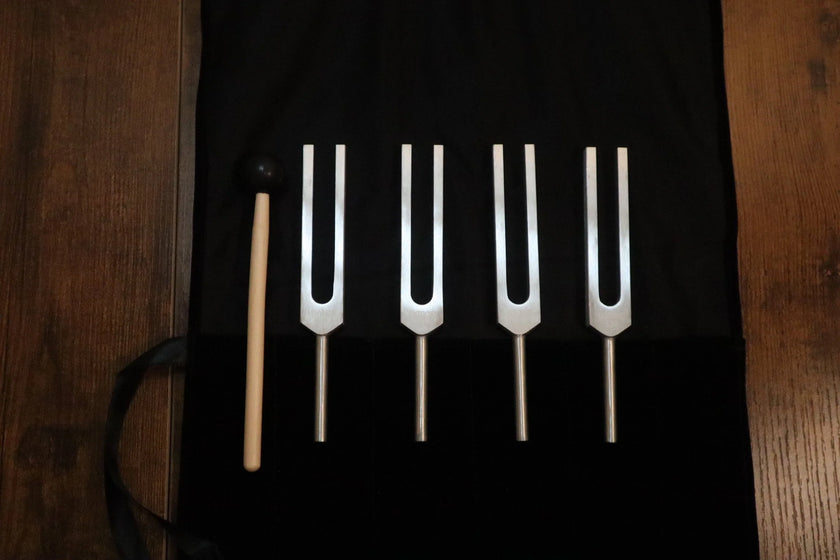 DNA Tuning Fork Set - Professionally Tuned .25 Hz, Bio-field, Sound Vibration, Unweighted 4pc Set, Velvet Carry Bag