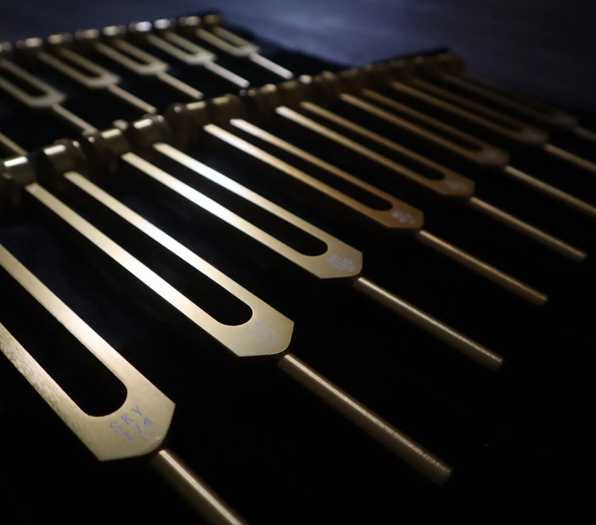 9pc Secret Solfeggio and 8pc Chakra Tuning Fork Bundle - Professionally Tuned .25 - Gold Weighted, 2 Strikers, 2 Carry Bags