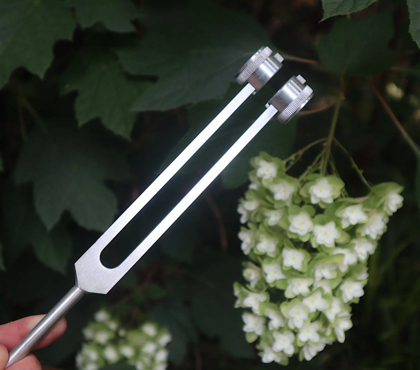 Schumann 93.96 Hz Tuning Fork - Schumann Resonance - Sound Vibration, Energy Vibration - Attenuator Handle Extender with 10mm Crystal