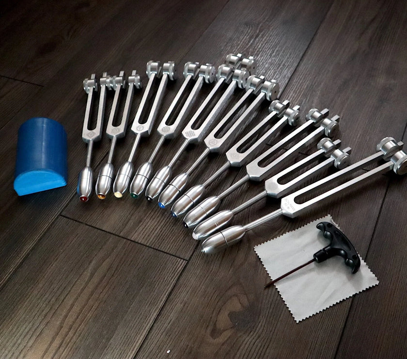 RV Medics' Professionally Tuned .25 9pc Chakra Silver Tuning Forks with 10pc Crystal Massage Attenuator Set - Biofield Tune
