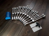 RV Medics' Professionally Tuned .25 9pc Chakra Silver Tuning Forks with 10pc Crystal Massage Attenuator Set - Biofield Tune