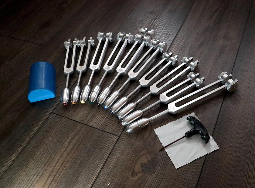 RV Medics' Professionally Tuned .25 9pc Chakra Silver Tuning Forks with 10pc Crystal Massage Attenuator Set - Biofield Tune