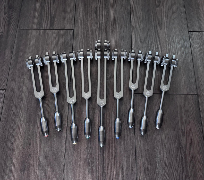 RV Medics' Professionally Tuned .25 9pc Chakra Gray Tuning Forks - 10pc Crystal Massage Attenuator Set - Biofield, Sound Vibration