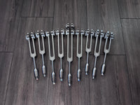RV Medics' Professionally Tuned .25 9pc Chakra Gray Tuning Forks - 10pc Crystal Massage Attenuator Set - Biofield, Sound Vibration