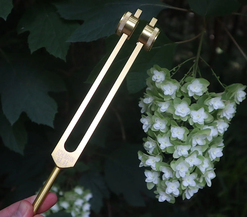 Schumann 93.96 Hz Tuning Fork - Schumann Resonance - Sound Vibration, Energy Vibration - Attenuator Handle Extender with 10mm Crystal
