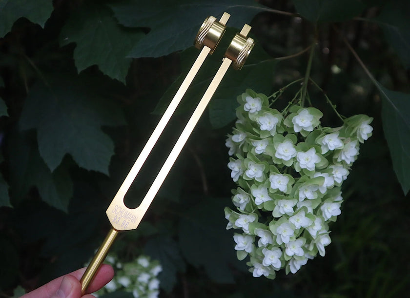 Schumann 93.96 Hz Tuning Fork - Schumann Resonance - Sound Vibration, Energy Vibration - Attenuator Handle Extender with 10mm Crystal