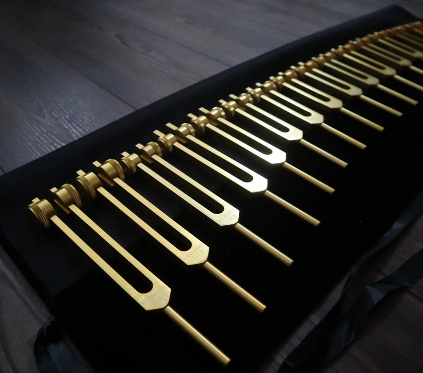24pc Human Biology and Secret Solfeggio Tuning Fork - Professionally Tuned .25 - Gold, Silver Bio-field Sound Vibration