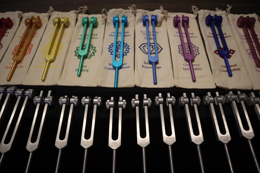 24pc Human Biology And Solfeggio Tuning Forks - Professionally Tuned .25 - Bio-field, Sound Vibration, Vibration
