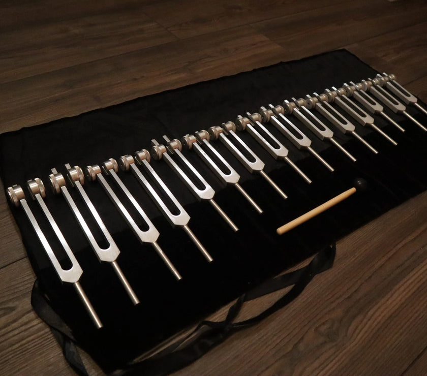 RV Medics' Professionally Tuned .25 15pc Human Biology Tuning Fork Set - Organs Tissue Cells Sound Vibration, Bio-field, Carry Bag