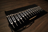 RV Medics' Professionally Tuned .25 15pc Human Biology Tuning Fork Set - Organs Tissue Cells Sound Vibration, Bio-field, Carry Bag
