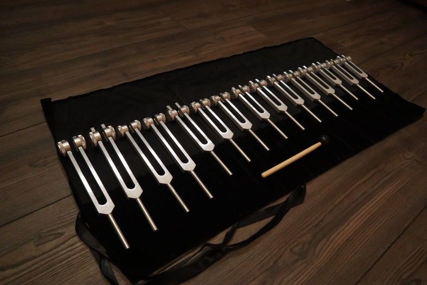 RV Medics' Professionally Tuned .25 15pc Human Biology Tuning Fork Set - Organs Tissue Cells Sound Vibration, Bio-field, Carry Bag