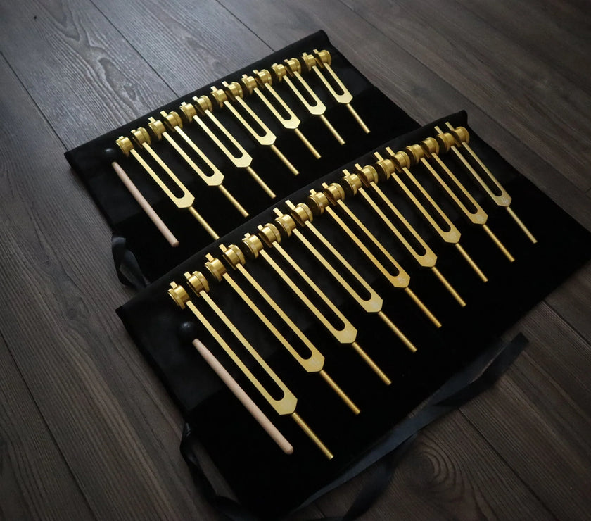 9pc Secret Solfeggio and 8pc Chakra Tuning Fork Bundle - Professionally Tuned .25 - Gold Weighted, 2 Strikers, 2 Carry Bags