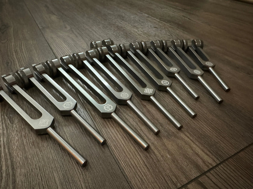 RV Medics' Professionally Tuned .25 9pc Chakra Tuning Forks - Gray - Earth Star Chakra through Soul Star - Biofield, Sound Vibration