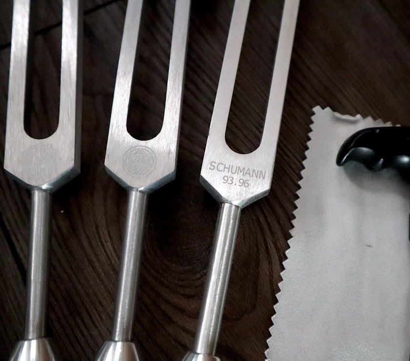 RV Medics' Professionally Tuned .25 9pc Chakra Silver Tuning Forks with 10pc Crystal Massage Attenuator Set - Biofield Tune