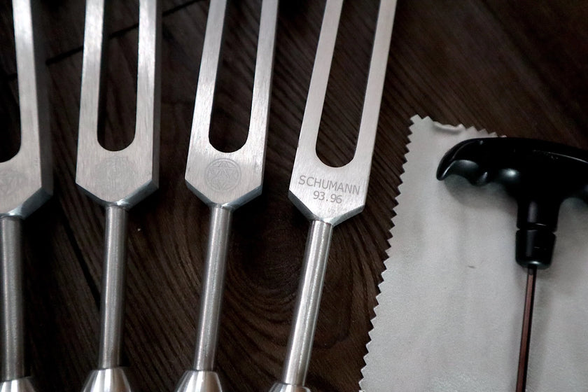 RV Medics' Professionally Tuned .25 9pc Chakra Silver Tuning Forks with 10pc Crystal Massage Attenuator Set - Biofield Tune