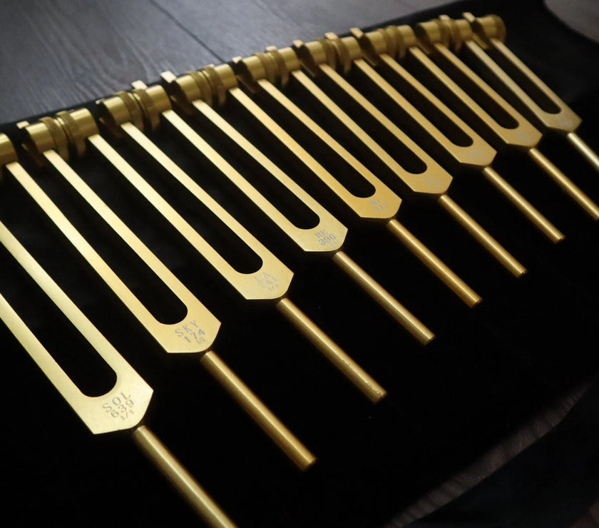 RV Medics' 9pc Solfeggio Weighted Tuning Fork Set - Professionally Tuned .25 - Gold, 528Hz, Bio-field, Bag, Striker