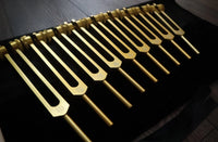 RV Medics' 9pc Solfeggio Weighted Tuning Fork Set - Professionally Tuned .25 - Gold, 528Hz, Bio-field, Bag, Striker
