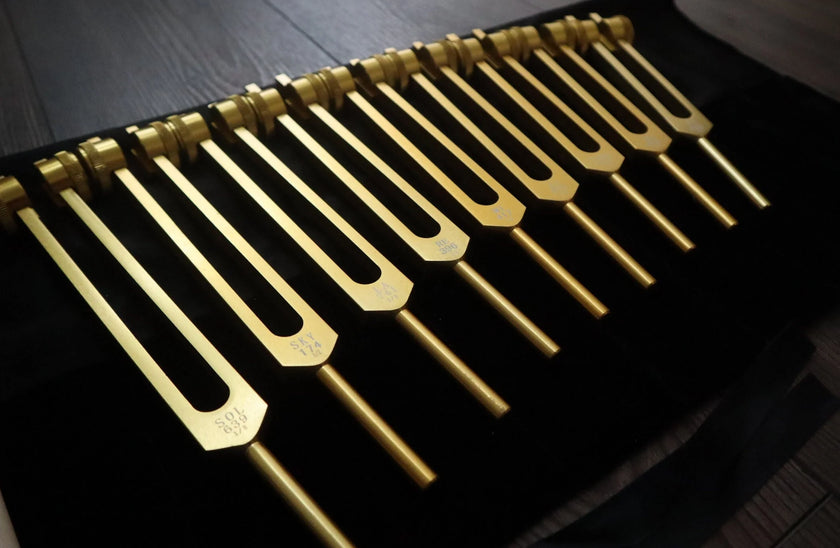 RV Medics' 9pc Solfeggio Weighted Tuning Fork Set - Professionally Tuned .25 - Gold, 528Hz, Bio-field, Bag, Striker