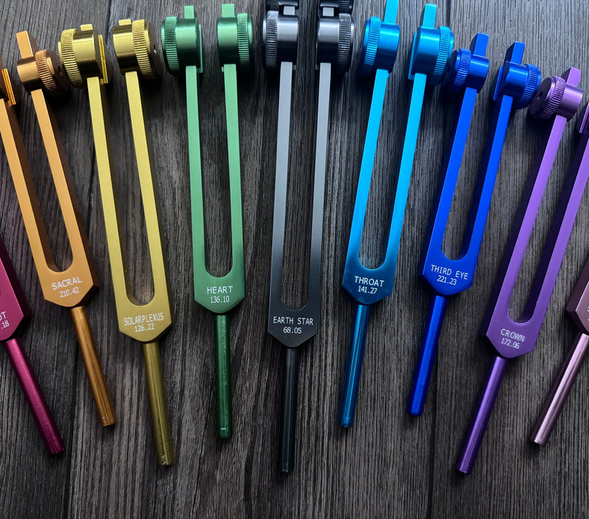 RV Medics' Professionally Tuned .25 9pc Chakra Tuning Forks - Earth Star Chakra through Crown Chakra - Biofield, Sound Vibration