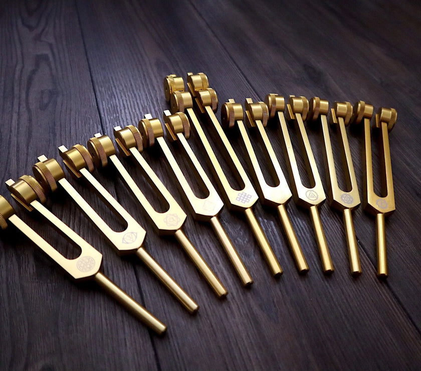12pc Song of the Spine Tuning Fork Set Professionally Tuned .25 - Bio-field - Organs, Tissue, and Cells, Sound Vibration, Bag