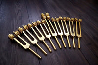 12pc Song of the Spine Tuning Fork Set Professionally Tuned .25 - Bio-field - Organs, Tissue, and Cells, Sound Vibration, Bag