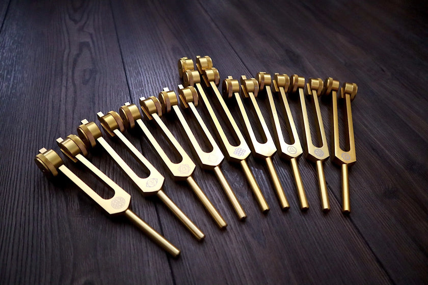 12pc Song of the Spine Tuning Fork Set Professionally Tuned .25 - Bio-field - Organs, Tissue, and Cells, Sound Vibration, Bag