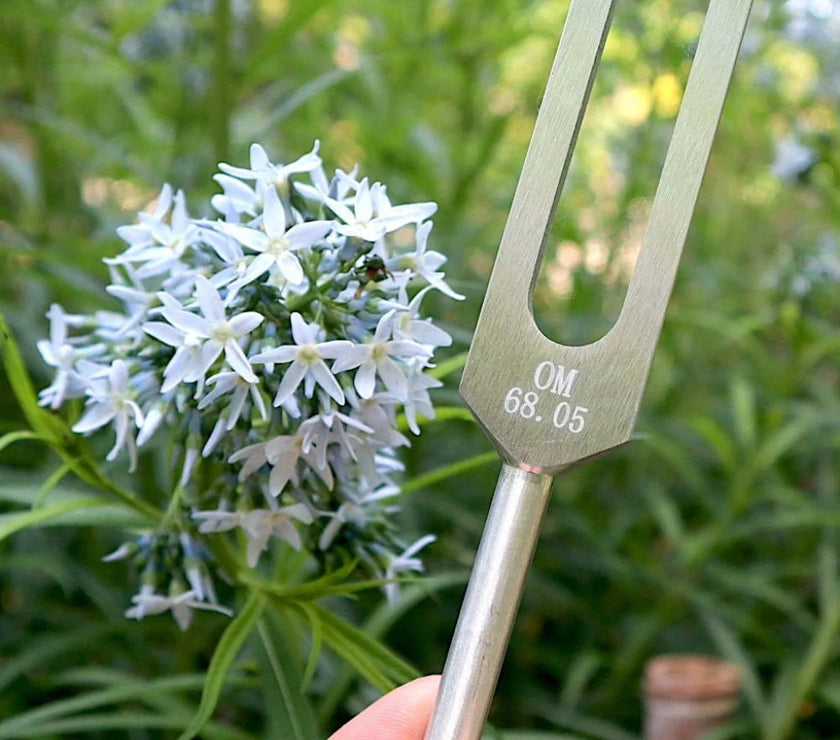 68.05 Hz Weighted Tuning Fork for Biofield Healing Therapy - Earth Star