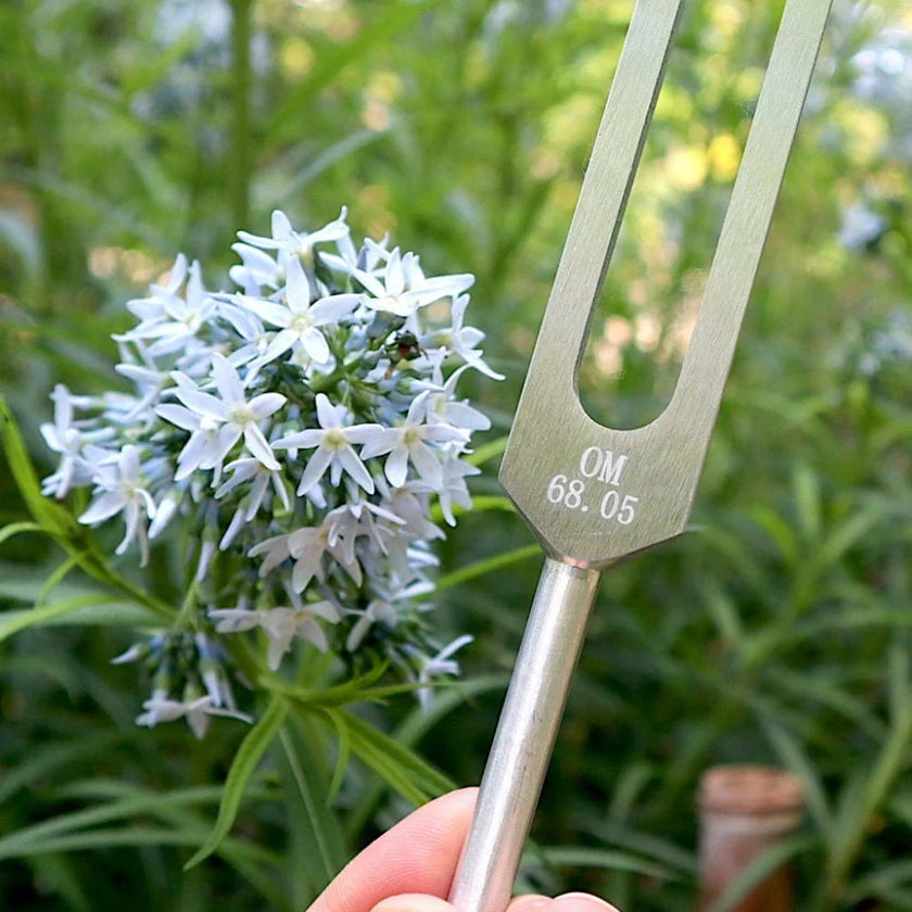 68.05 Hz Weighted Tuning Fork for Biofield Healing Therapy - Earth Star