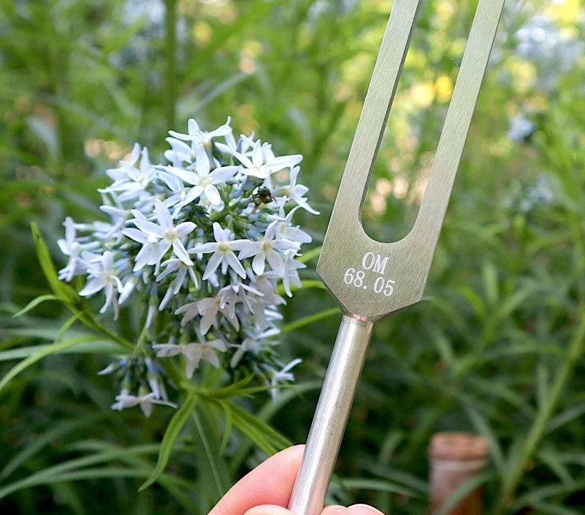 RV Medics' Earth Star 68.05 Hz Tuning Fork - Sound Vibration, Grounding, Biofield - Attenuator Handle Extender with 10mm Crystal
