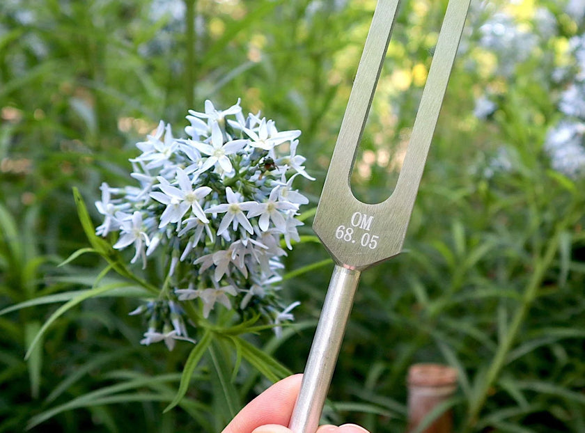 RV Medics' Earth Star 68.05 Hz Tuning Fork - Sound Vibration, Grounding, Biofield - Attenuator Handle Extender with 10mm Crystal