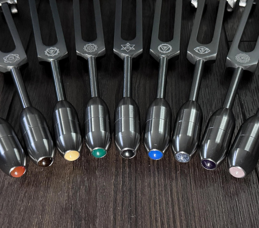 RV Medics' Professionally Tuned .25 9pc Chakra Gray Tuning Forks - 10pc Crystal Massage Attenuator Set - Biofield, Sound Vibration